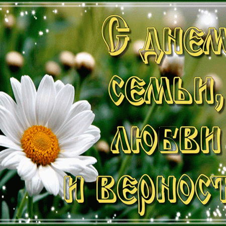 Акция "Ромашковое счастье"
