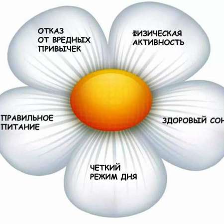 Ромашка здоровья