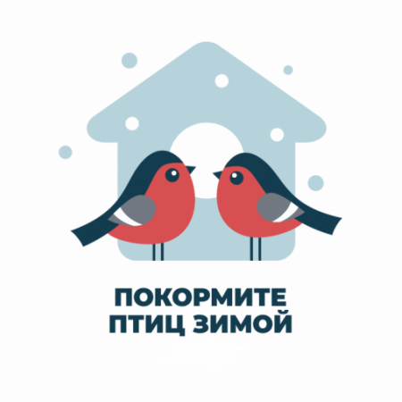 Покормите птиц зимой!