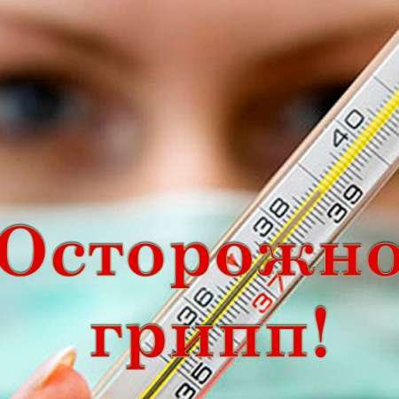 О мероприятиях по профилактике гриппа, острых респираторных вирусных инфекций и новой коронавирусной инфекции (COVID- 19) в эпидемическом сезоне 2024-2025 гг.